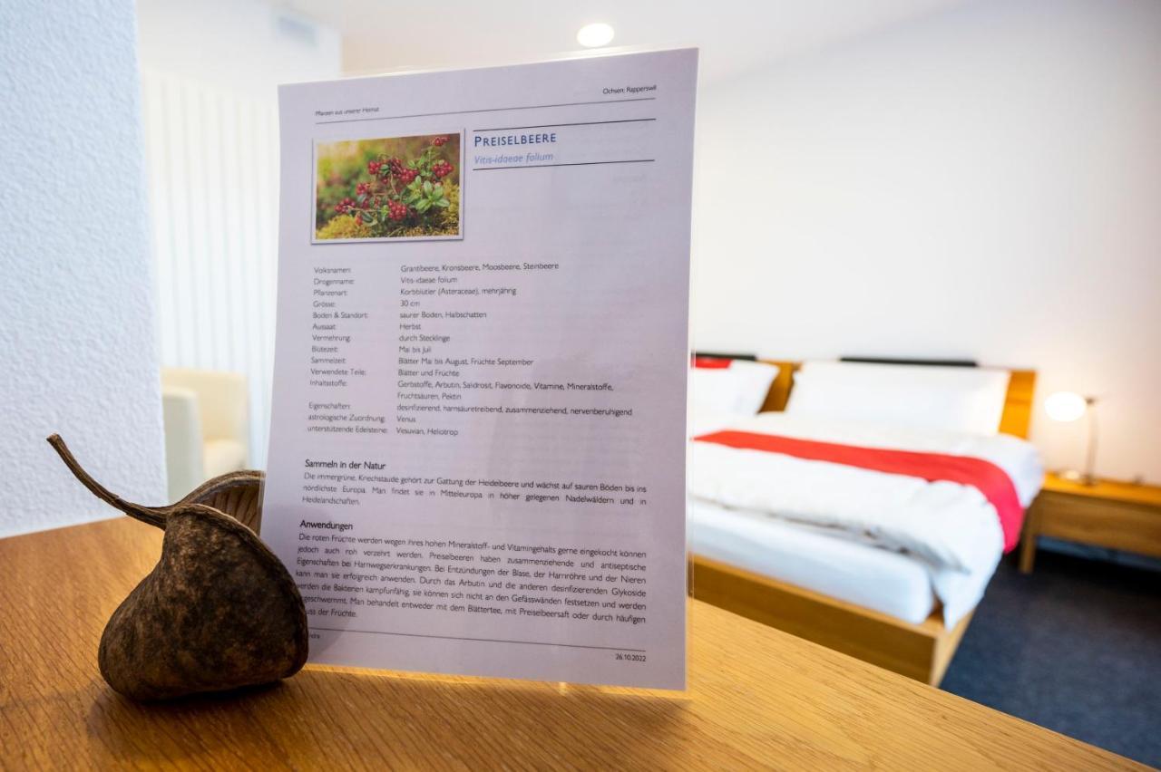 Hotel Ochsen Rapperswil/Be Rapperswil  Εξωτερικό φωτογραφία
