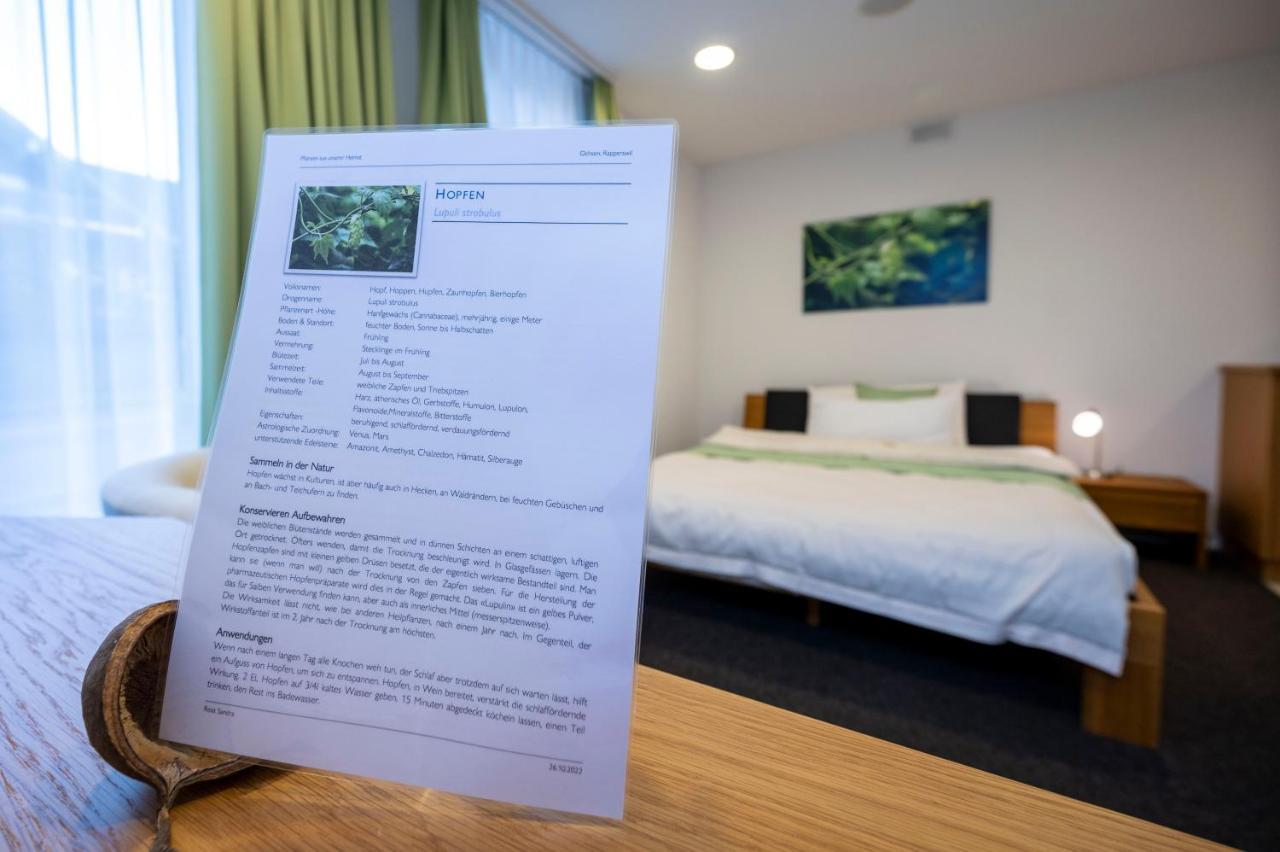 Hotel Ochsen Rapperswil/Be Rapperswil  Εξωτερικό φωτογραφία